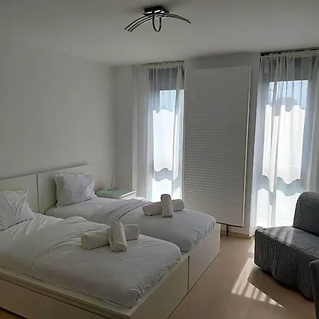 Casa Maria 蒂米什瓦拉