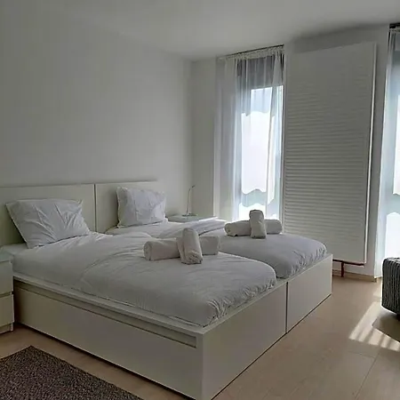 Casa Maria 蒂米什瓦拉